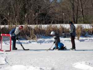 Hockey on the Pond